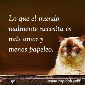 Frases de amor graciosas para dedicar 11 Mensajes de amor Gato grumph 9