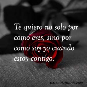 Frases de amor bonitas para dedicar 1 Mensajes de amor Rosa 1