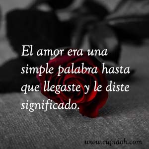 Frases de amor bonitas para dedicar 10 Mensajes de amor Rosa 11