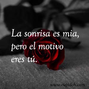 Frases de amor bonitas para dedicar 11 Mensajes de amor Rosa 12