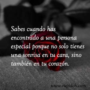 Frases de amor bonitas para dedicar 12 Mensajes de amor Rosa 13