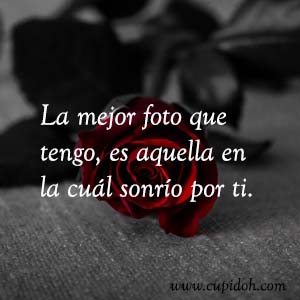 Frases de amor bonitas para dedicar 15 Mensajes de amor Rosa 16