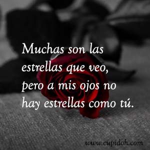 Frases de amor bonitas para dedicar 2 Mensajes de amor Rosa 2