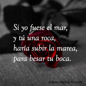 Frases de amor bonitas para dedicar 28 Mensajes de amor Rosa 30