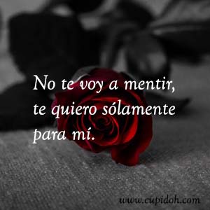 Frases de amor bonitas para dedicar 31 Mensajes de amor Rosa 33