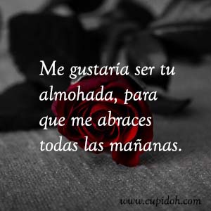 Frases de amor bonitas para dedicar 36 Mensajes de amor Rosa 37