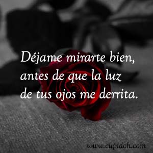 Frases de amor bonitas para dedicar 35 Mensajes de amor Rosa 38