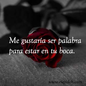 Frases de amor bonitas para dedicar 39 Mensajes de amor Rosa 41