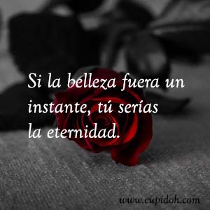 Frases de amor bonitas para dedicar 40 Mensajes de amor Rosa 42