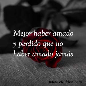 Frases de amor bonitas para dedicar 4 Mensajes de amor Rosa 5