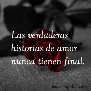 Frases de amor bonitas para dedicar 5 Mensajes de amor Rosa 7