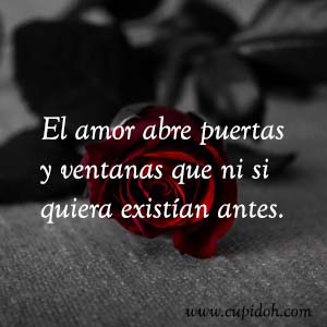Frases de amor bonitas para dedicar 7 Mensajes de amor Rosa 8