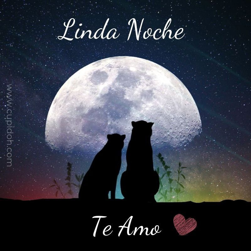 mensajes de buenas noches románticos