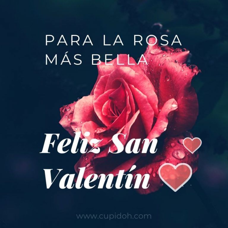 San Valentín frases