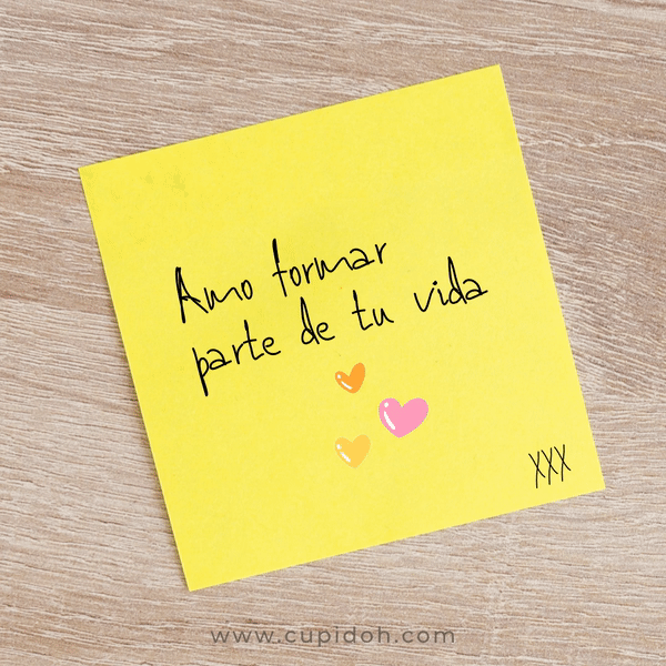 notas para enviar